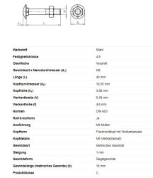 Flachrundschraube m. Vierkantansatz, M6 x 40 mm