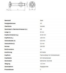 Flachrundschraube m. Vierkantansatz, M8 x 25 mm