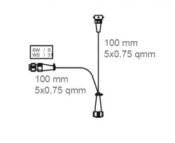 ASP&Ouml;CK Adapterkabel, 0,1 m, 2 x 5-polige BV (m/w)