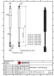 BÜNTE Gasfeder 14/28, 1000 N, 615 mm, 220 mm Hub